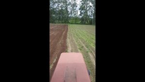 Как садят картофель при помощи тракторов Т 25. Видео от подписчика