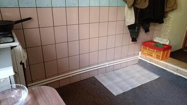 ПОДРОБНЫЙ РЕЦЕПТ МОИХ КОТЛЕТ /ГОТОВЛЮ ПШËНУЮ КАШУ /ПОСАДИЛИ ЧЕСНОК смотреть онлайн