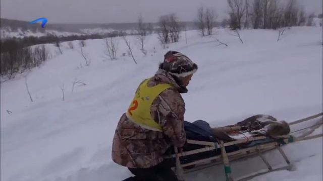 Берингия-2014 11 ЭТАП. Еловка - Лызык 15.03 смотреть онлайн