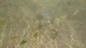 Крым. посёлок Приморский.