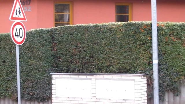 Живые изгороди и какие они бывают/What are the hedges смотреть онлайн