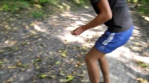 Гадюка обыкновенная.Гадюка Никольского. Ядовитые змеи.