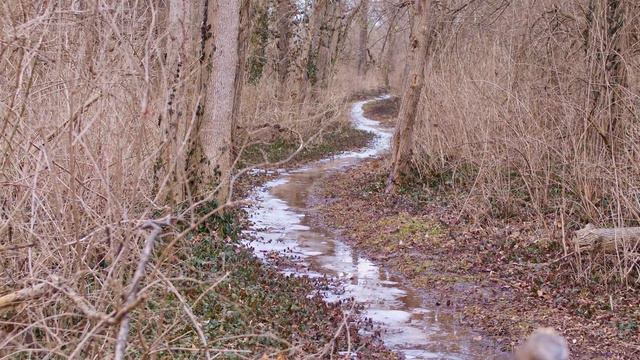 Blackmagic 6k pocket cinema camera - raw footage test - no audio смотреть онлайн