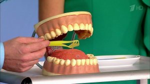 Насколько токсичен мой дом. Уход за полостью рта. Жить здорово! Фрагмент выпуска от 12.10.2015