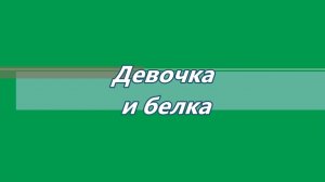 Девочка и белка. Мультфильм