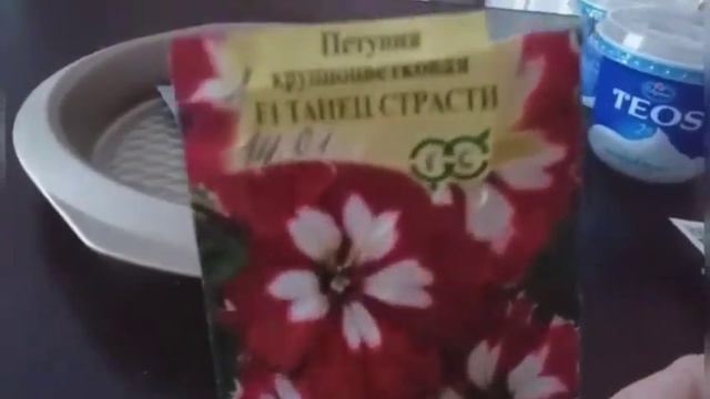 379.# Обзор эустомы🤔Обзор семян цветов сезон 2022 с коментариями❄❄❄