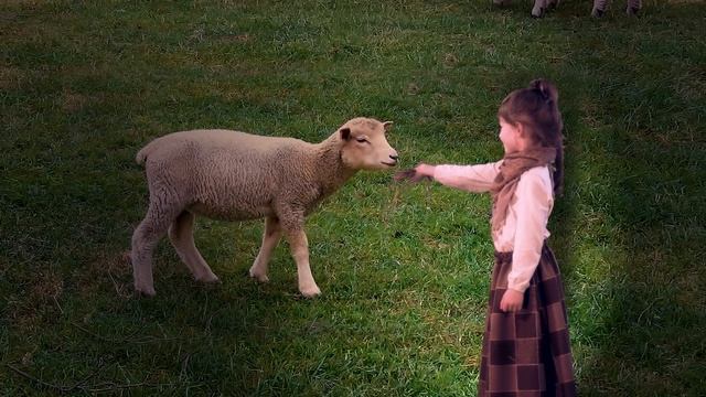 Звезда Рождества - Рождественский КЛИП - Наталия Лансере / Christmas music clip смотреть онлайн