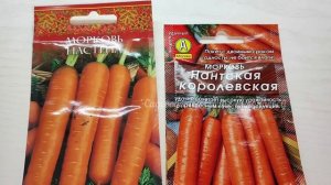 ТОЛЬКО Эти СОРТА МОРКОВИ ПОСАЖУ В 2024 году, урожайные, сладкие, не трескается