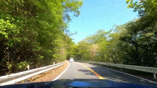 4K DRIVE | Initial D #3: Fresh Green Drive on Mt. Haruna (Akina) with Subaru Levorg STI Sport смотреть онлайн