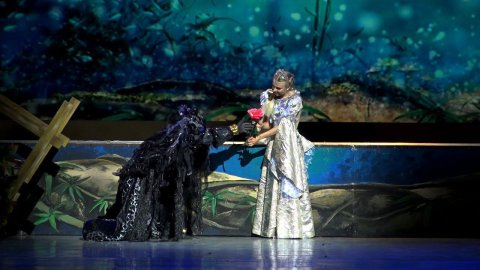 "Песня о безобразной внешности"