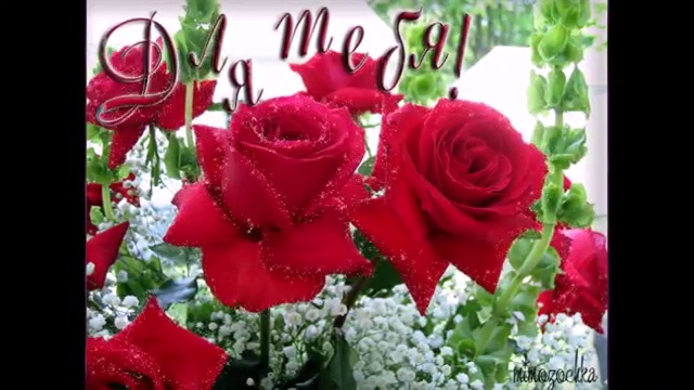 Прекрасной половине Человечества _ Женщинам смотреть онлайн