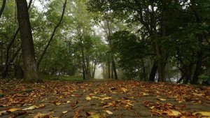 "Как погода зависит от ветра", Окружающий мир 4 класс ч.1, с.9-11, Планета знаний