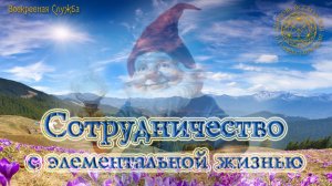 Воскресная служба 21 июля 2024 год. 10:00 - 13:00 мск: Сотрудничество с элементальной жизнью.