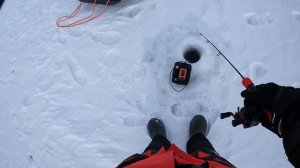 Рыбалка на Каме 14 12 2023 Судак на 2,5 кг