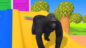 Long Slide Game With Cow, Gorilla, Bear, Hippo, Lion, Wild Animals Crossing Fountain