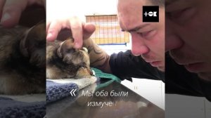 ТОК   Этому человеку пришлось усыпить любимую кошку из за