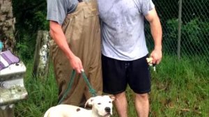 Спасатели пришли на помощь тонущей собаке. Вдруг они увидели ЭТО!