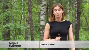ГДЕ РАСТЁТ ЧЕРНИКА