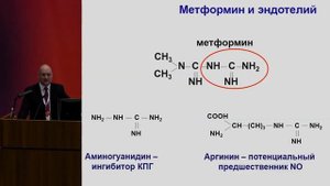Зилов А.В., Метформин - основа медикаментозной терапии нарушений углеводного обмена..