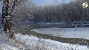 Ловля Судака и Налима в Ноябре