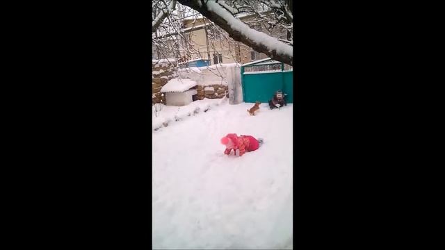 Тараканы бегают по снегу смотреть онлайн