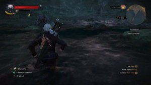 The Witcher 3: Wild Hunt - Possession Quest