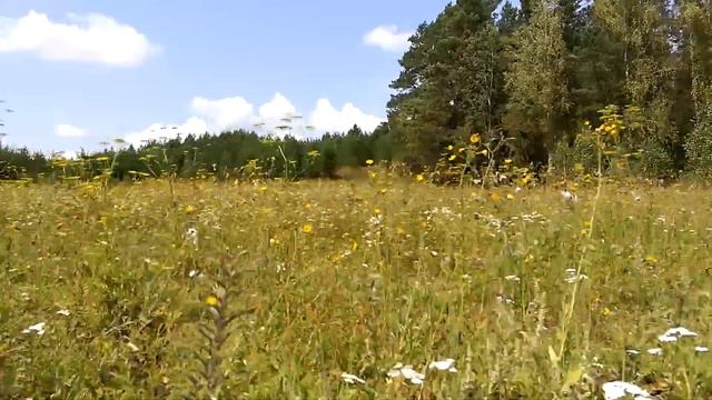 с. Ивановка Ермаковского района Красноярского края