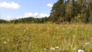 с. Ивановка Ермаковского района Красноярского края