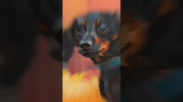 Процесс рисования акрилом, холст на картоне | Acrylic painting of Dachshund dog on canvas board