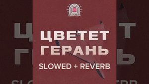 Врата Овертона - Цветёт Герань Slowed + reverb