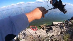 ФИДЕРНАЯ РЫБАЛКА на КАРАСЯ и ПЛОТВУ.САМАЯ ЛУЧШАЯ РЫБА ПОД ПИВО.mp4