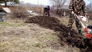 Разрабатываем целину мотоблоком Кама МБ 105