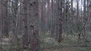 Охота с РПГ Добычем. Очередной МОМЕНТ! Заяц - в ноги!