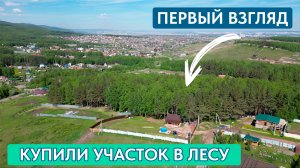 Строительство в гармонии с природой: Обзор участка в лесу