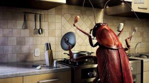 ТОП 10 ФАКТОВ О ТАРАКАНАХ