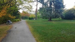 Самый красивый парк Екатеринбурга - Дендропарк