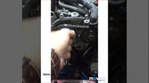 Замена цепи на Тигуан 1.4 150l