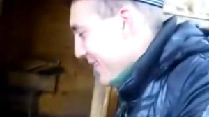 Кот против медведя cat vs bear