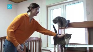 17.03.2023 Мнение ветнадзора о программе отлова и стерилизации животных