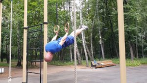 Ласточка на кольцах (задний вис)