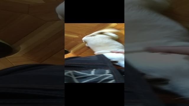  смотреть онлайн