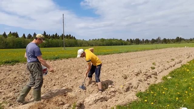 Взаимовыручка в деревне очень важна. Сделали вклад в землю.