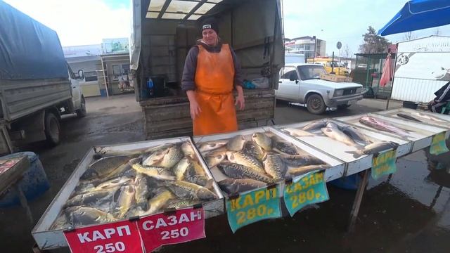 Краснодарский край Славянск на Кубани. Цена на свежую рыбу. Переехали на юг.