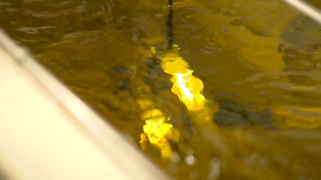 The Making of the ICC Cricket World Cup Trophy