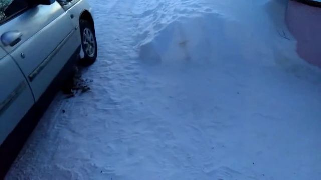 Снова выходной, снова баня. Чиним форд и десятку. Сепа за рулём. Стрижка в кочегарке. смотреть онлайн