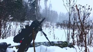 CZ 550 Varmint Laminated .308 Let It Snow