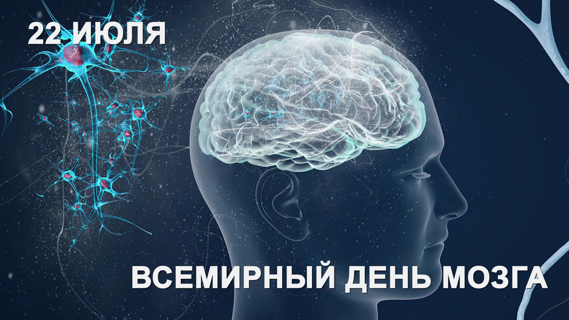 Новый мозг. Мы это наш мозг. Узнай тайны. Brain now