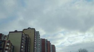 Воронеж Зима