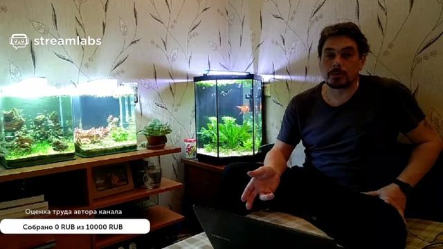 #Территория_комфорта Болезни и лечение аквариумных рыб. Делимся опытом. смотреть онлайн