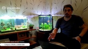 #Территория_комфорта Болезни и лечение аквариумных рыб. Делимся опытом.